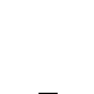 Logo Rodape